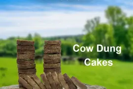 Cow Dung Cakes 