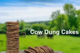 Cow Dung Cake Amazon 