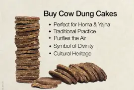 Bali Cow Dung Cakes 