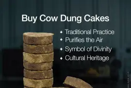 Patanjali Cow Dung Cake 