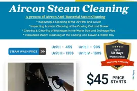 Best Aircon steam wash in 2024