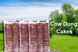 Dung Cake Price In Andhra Pradesh