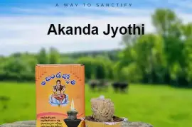 Panchagavya Diya In Andhra Pradesh