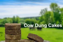 Bali Cow Dung Cakes In Andhra Pradesh