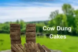 Cow Dung Cake For Manure In Andhra Pradesh
