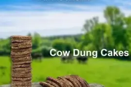 Inditradition Cow Dung Cake In Andhra Pradesh