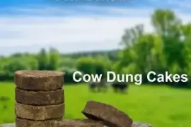 Cow Dung Cake Patanjali 