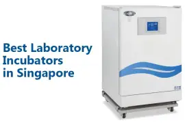 Top Quality Laboratory Incubators Available for 2025