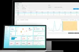 Streamline Your Financial Operations with SAP Business One