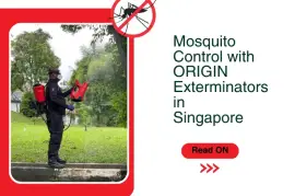 Choose the Best Pest Management Service in Singapore