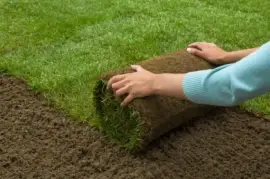 Top Lawn Turf Supplier Sets New Standards for Superior Landscaping Solution