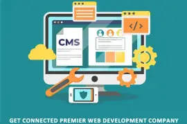 Exceptional Web Development Company in Noida