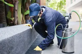 BBPP Pest Control Service in Kleinburg - Satisfaction Guarantee