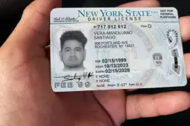 fake id for sale 