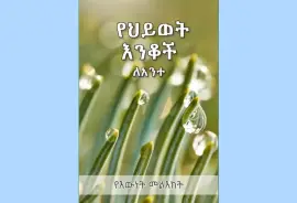 PDF Pearls of Life for You – Amarigna