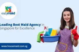 Leading Best Maid Agency in Singapore for Excellence