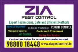 Zia Pest Control | General Pest Control | Marathahalli | 4029