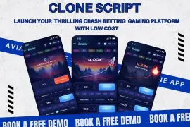 Get Aviator Clone Script At Unbeatable Prices With Free Live Demo