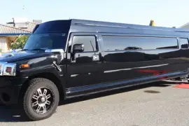 Ultimate Joy Ride: Kids Party Limo Hire Perth with Hummercity Limousines