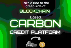 Blockchain carbon credit platform development