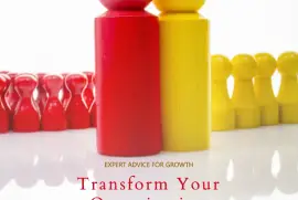 Navigating Growth: Expert Organizational Development Consulting Solutions