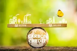 Unlock Environmental Benefits with Pollution Credit Trading | Nets 2050