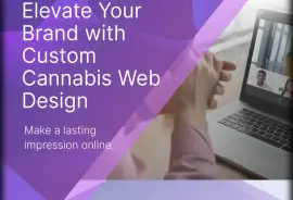 Empowering Cannabis Brands with Expert Web Design