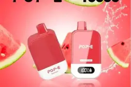 Buy POP-E 5% Disposable Vape - 10000 Puffs Variety Pack | Top Flavors Avail