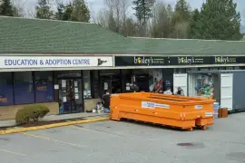 Affordable 20-Yard & 40-Yard Dumpster Rental in Vancouver & Surrey