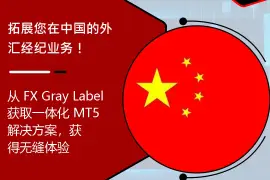 Start Your Forex Brokerage in China with MT5 GreyLabelFX