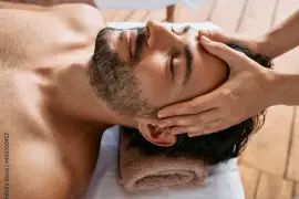 Delight Spa Udaipur 9511387169