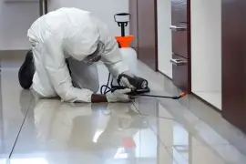 Pest Control Services in Woodbridge - 100% Satisfaction