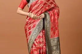 Elegant Eid Sarees Online – Canada & USA