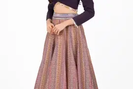 Designer Lehenga Choli Online