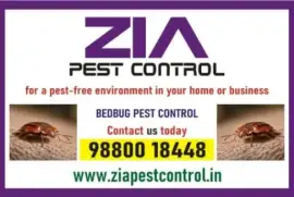 Bed Bug pest Treatment | Hotels and Restaurents | bedbugs Control | 6002