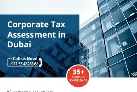 corporate tax advisory services  