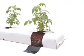 Long Type Grow Bag in Australia