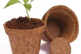 Coco Coir Pots in Australia