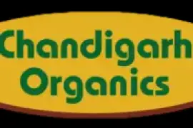 Where Can You Order Organic Food Online in Panchkula?