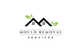 Avail The Best Mould Removal Services in Singapore