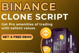 Your crypto trading made coherent with our Binance clone script