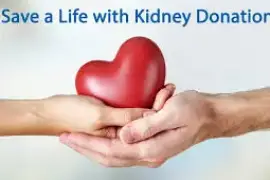 Genuine Kidney Donor Is Needed Urgently To Save A Life