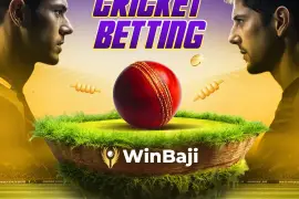 Winbaji | Online Cricket Betting Site in Bangladesh