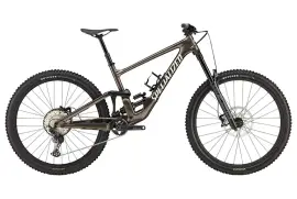 2025 Specialized Enduro Comp Mountain Bike (ALANBIKESHOP)