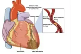 Harispandan Heart Care & Sleep Clinic 