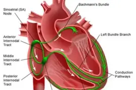 Harispandan Heart Care & Sleep Clinic 