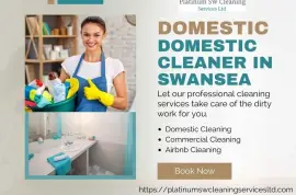 Commercial Cleaners Carmarthen - +447450604275