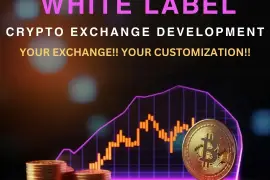 Make an entry in crypto space with our white label crypto exchange solution