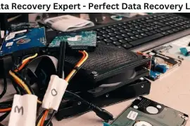 Data Recovery Expert - Perfect Data Recovery Lab