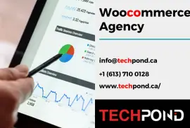 The Art of E-Commerce Strategies Unveiled by Tech Pond Your Expert WooComme